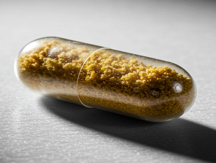 quercetin phytosome
